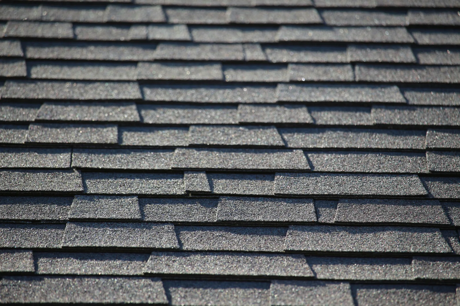 Sunlight across textured architectural shingle courses