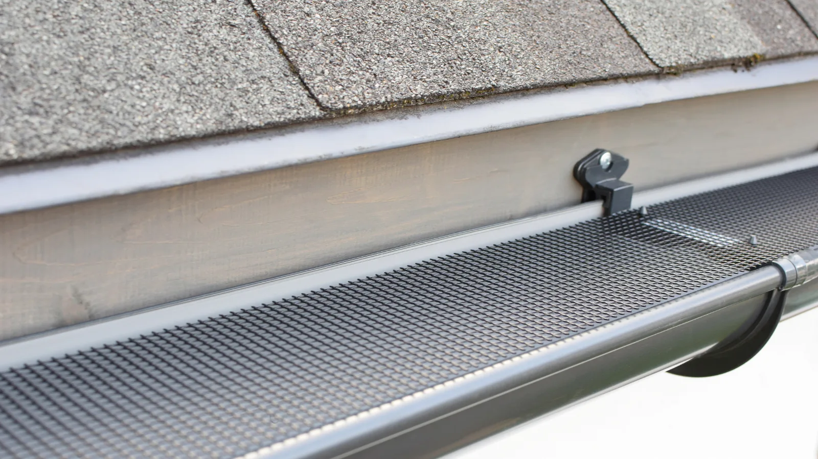 Mesh gutter guard and fascia beneath a shingle roof edge